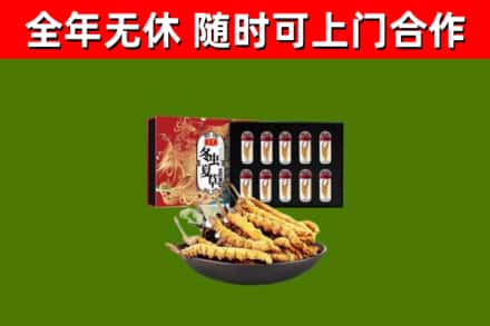 承德市回收冬虫夏草价格
